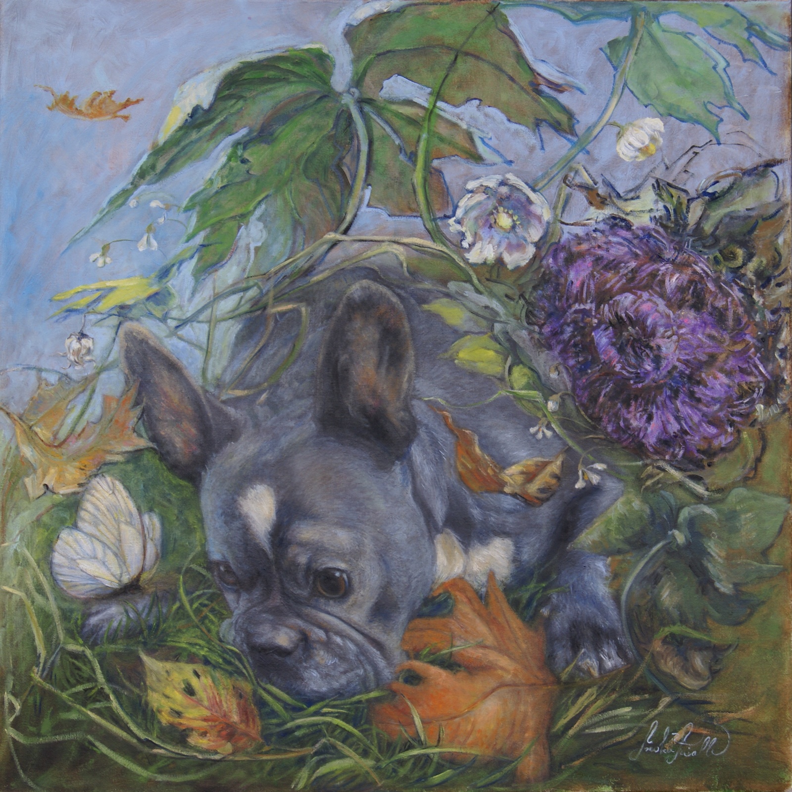 Iskra  (French Bulldog)